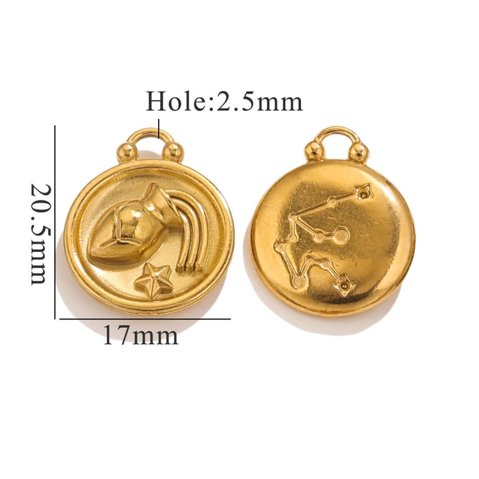 1 Piece Retro Classic Style Aquarius Shape Stainless Steel  Gold Color Unisex Pendant 